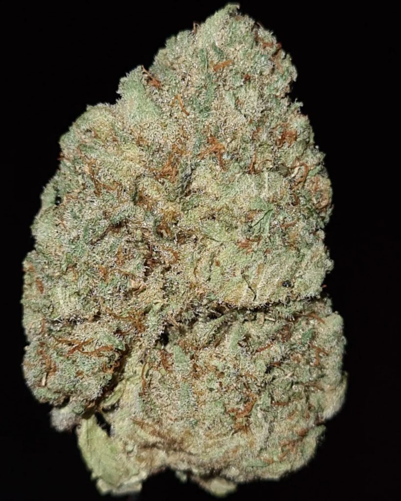 zkittlez cake by jungle boys strain review by cannoissurselections