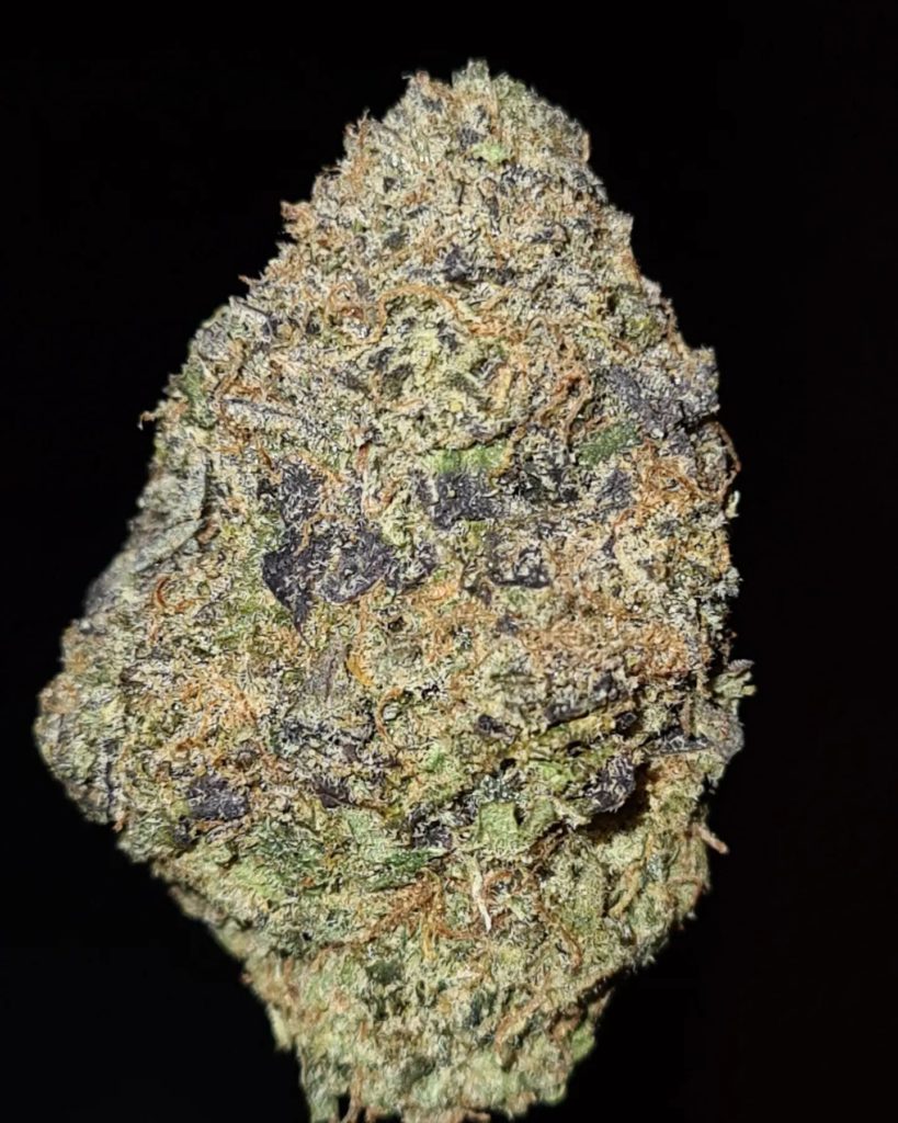 zoursop by zourzop strain review by cannoisseurselections