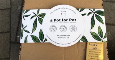 a pot for pot review five gallon grow kit