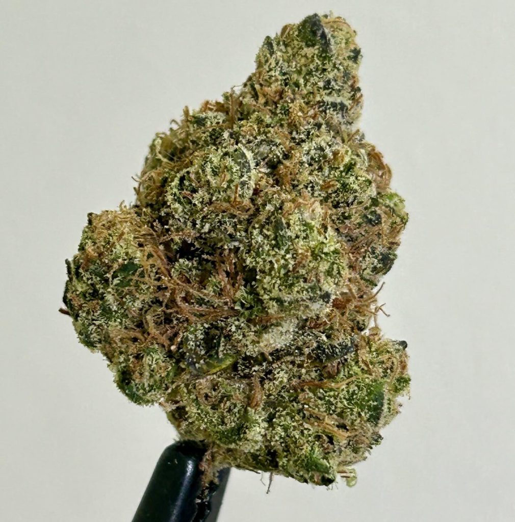 banana runtz by 760 grower strain review by cali_bud_reviews