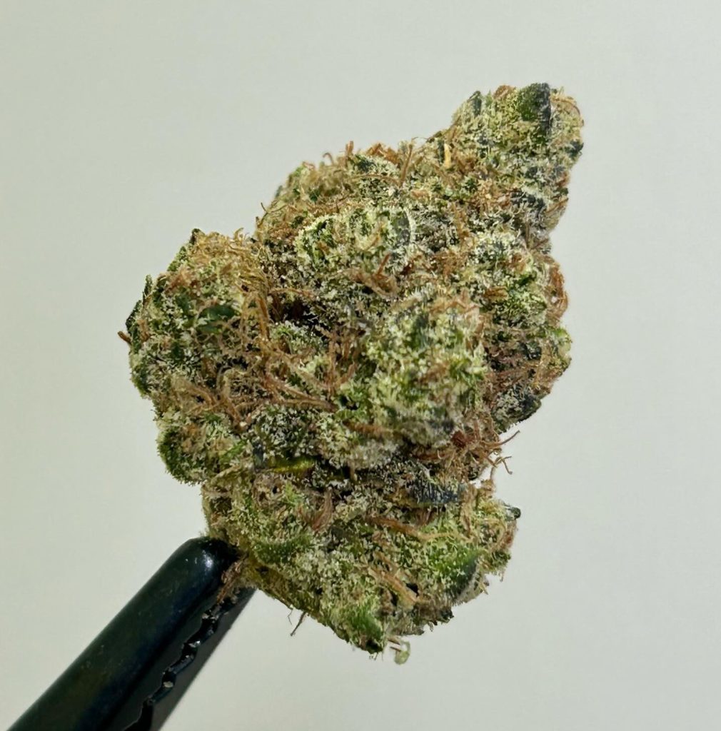 banana runtz by 760 grower strain review by cali_bud_reviews 2.jpg