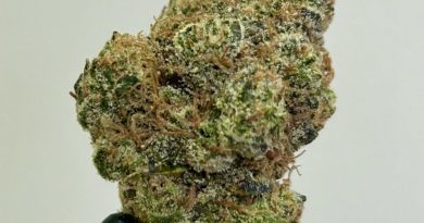 banana runtz by 760 grower strain review by cali_bud_reviews 2.jpg