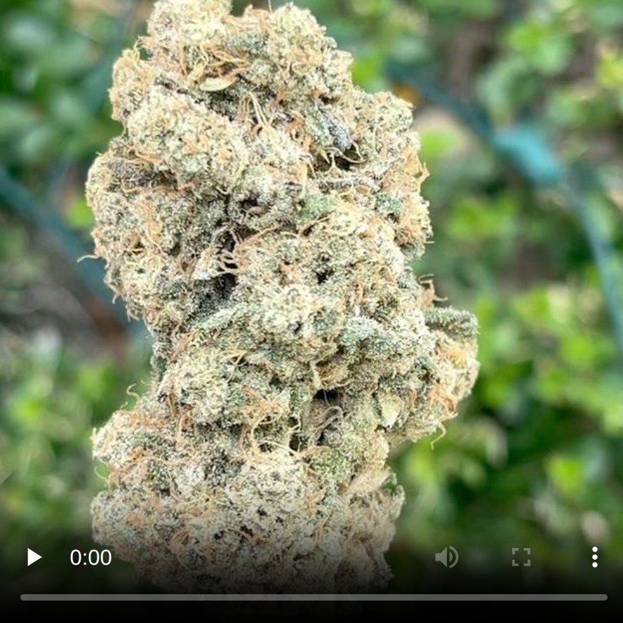 buena suerte by joshwax strain review by thethcspotreviews