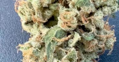 ghost og x sour dubb by sisu nyc strain review by hazeandsour 2.jpg