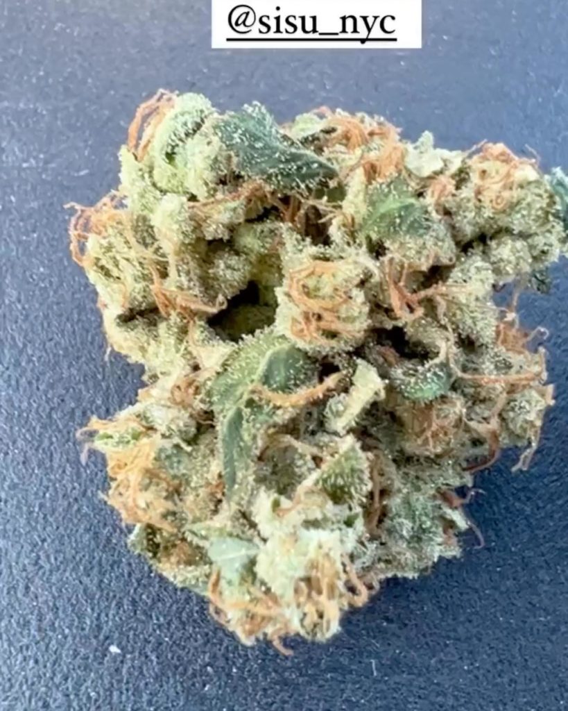 ghost og x sour dubb by sisu nyc strain review by hazeandsour 2.jpg