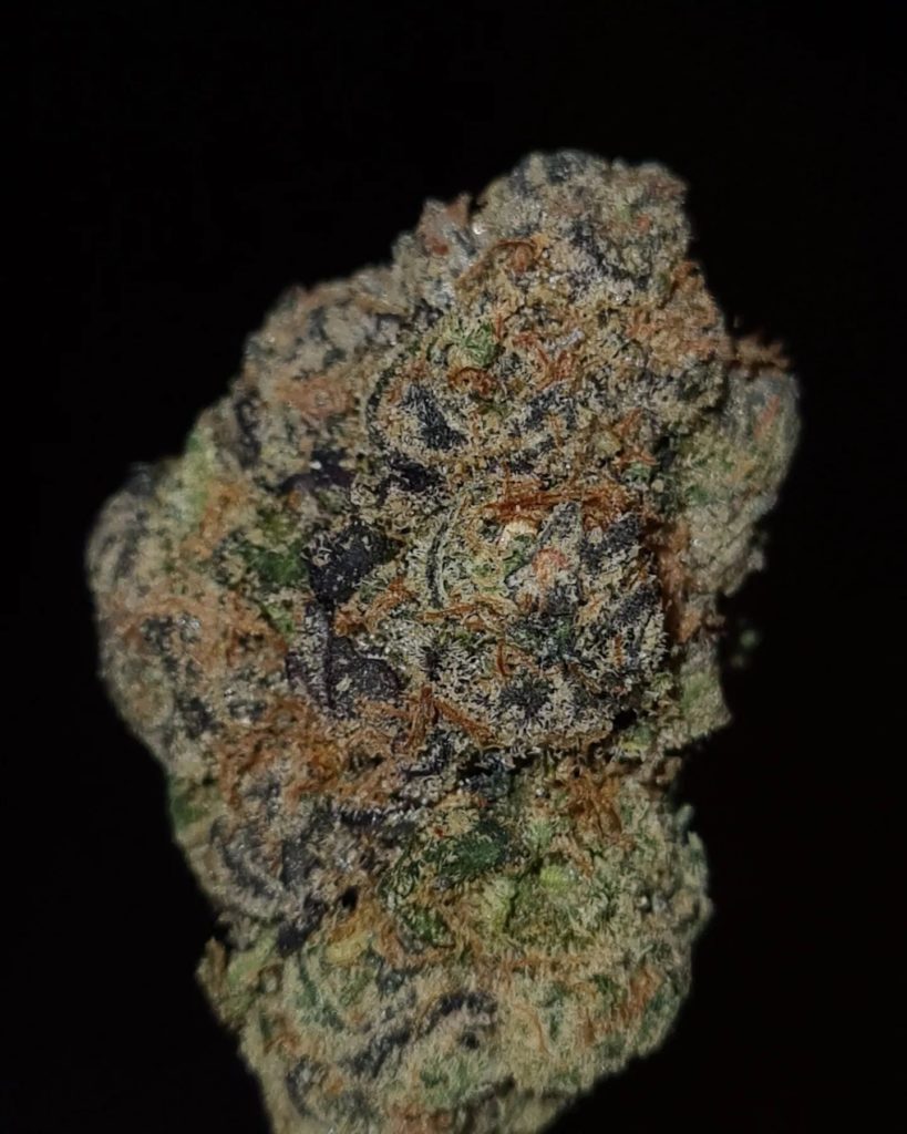 mambaz by humboldt beginnings x howling green strain review by cannoisseurselections