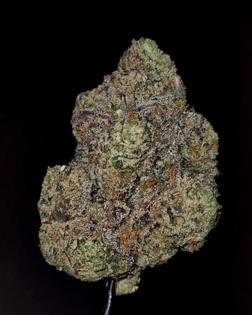 pico dulce by cannatique strain review by cannoisseurselections