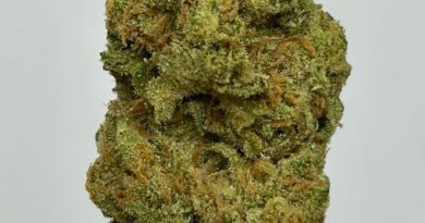 pink zugar by themonocrop man strain review by cali_bud_Reviews 2.jpg