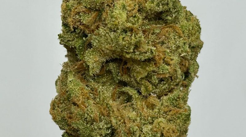 pink zugar by themonocrop man strain review by cali_bud_Reviews 2.jpg