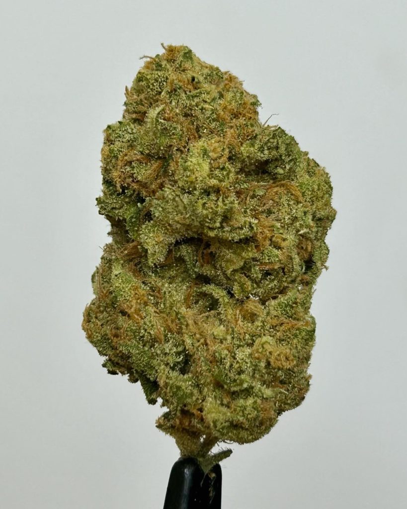 pink zugar by themonocrop man strain review by cali_bud_Reviews 2.jpg