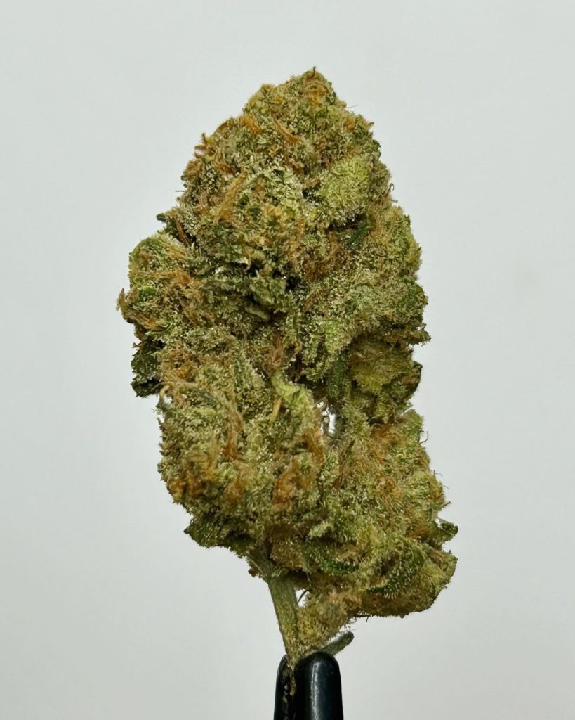 pink zugar by themonocrop man strain review by cali_bud_Reviews