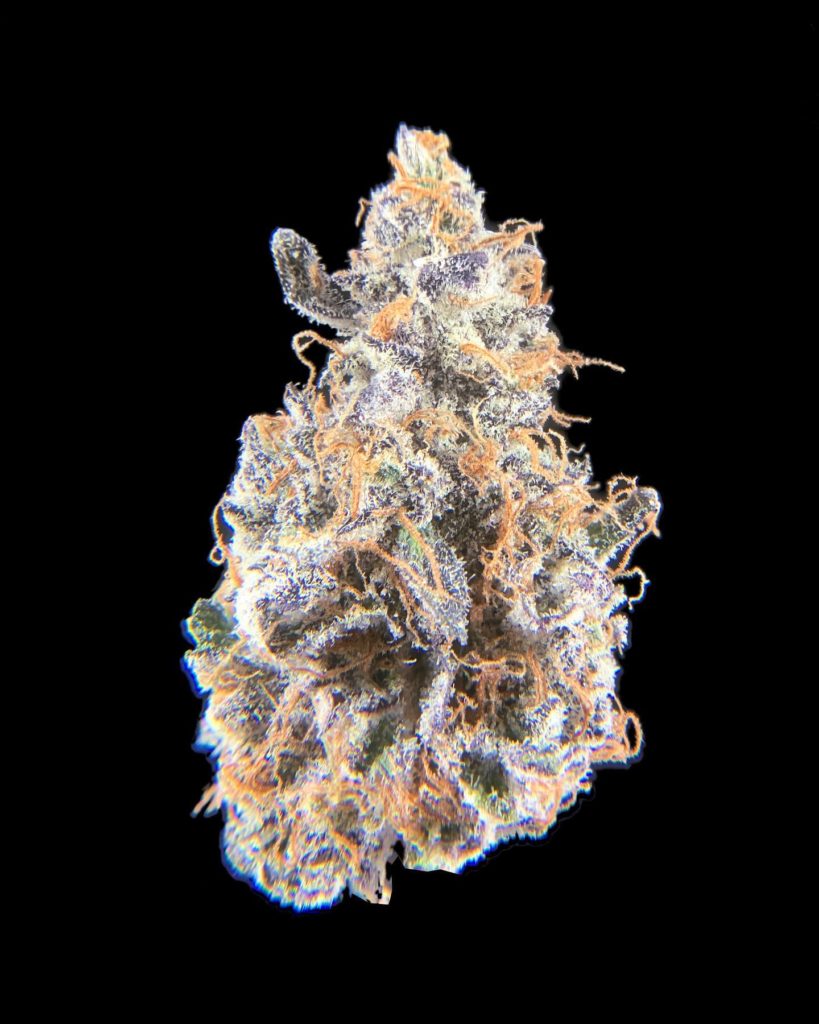 pug's breath by high noon cultivation strain review by pnw.chronic 2.jpg