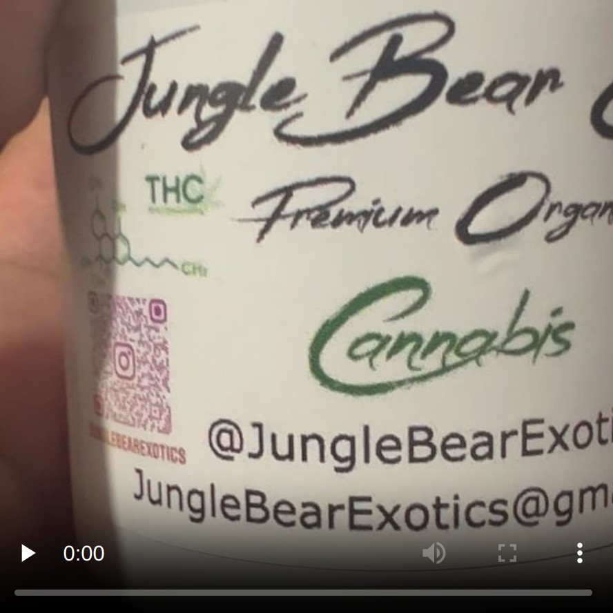 sour diesel by jungle bear exotics strain review by hazeandsour