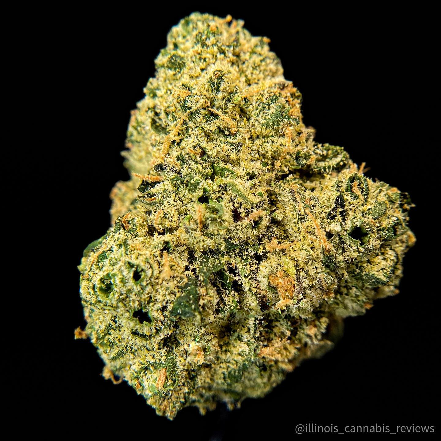 Strain Review Watermelon Zkittlez by Blue Lane Grow The Highest Critic