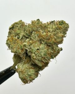 xeno by shauncron strain review by cali_bud_reviews 2