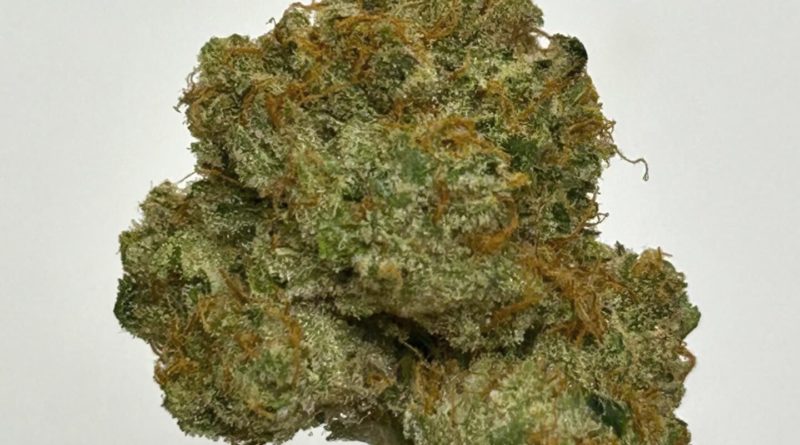 xeno by shauncron strain review by cali_bud_reviews