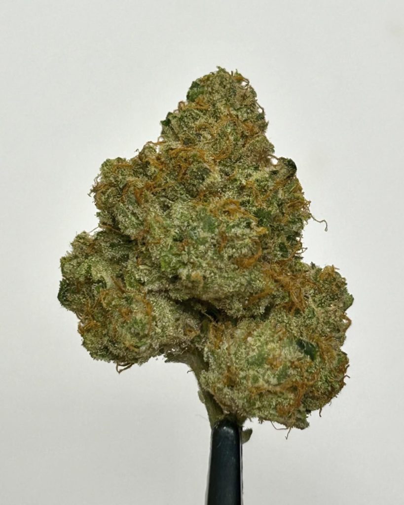 xeno by shauncron strain review by cali_bud_reviews