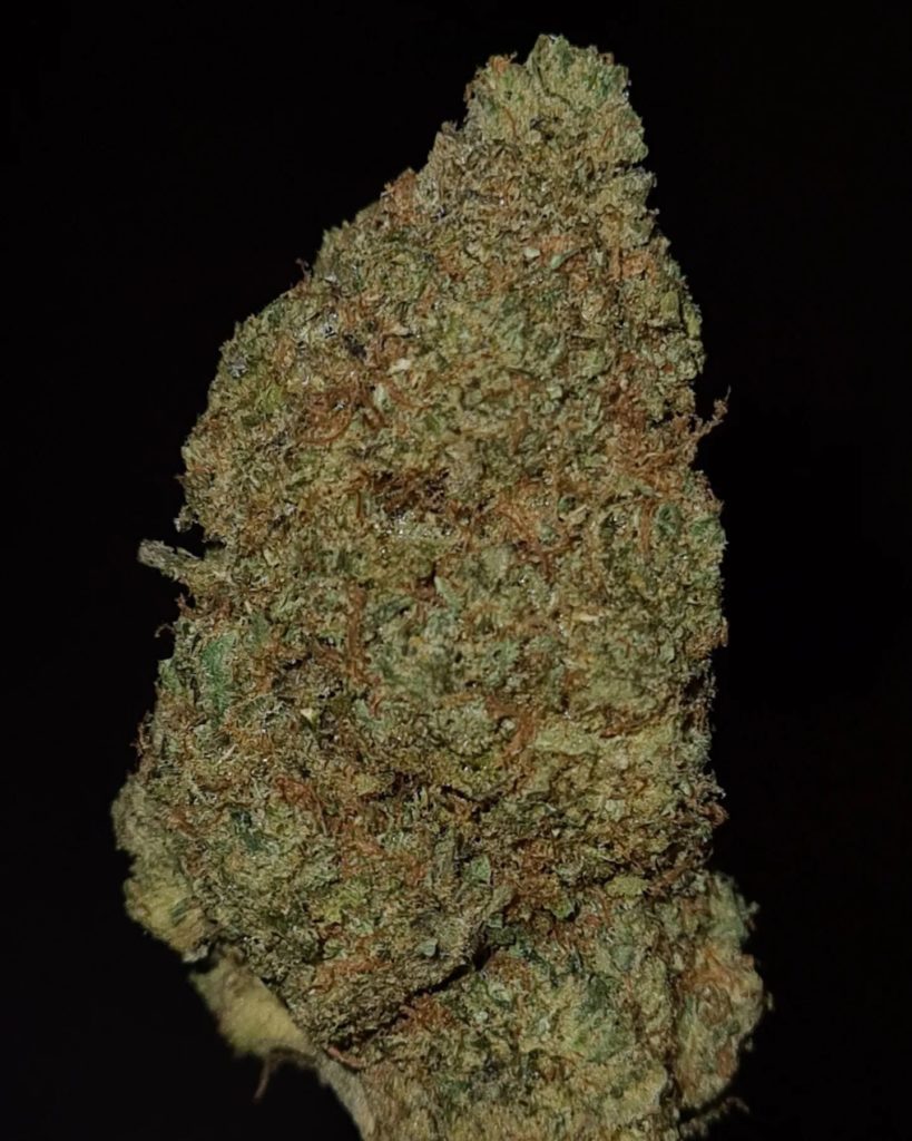 zalenciaga by bay area flavors x limited trees genetics strain review by cannoisseurselections 2.webp