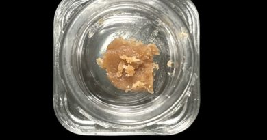 zkittlez piattella by uncles farm from astor club la hash review by thethcspotreviews