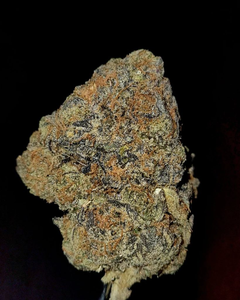 zsunami 2.0 by kush4breakfast x johnnydankco strain review by cannoisseurselections