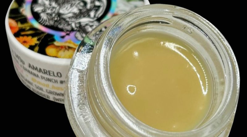 amarelo cold cure rosin by mad hasher hash review by cali_bud_reviews 2.jpg