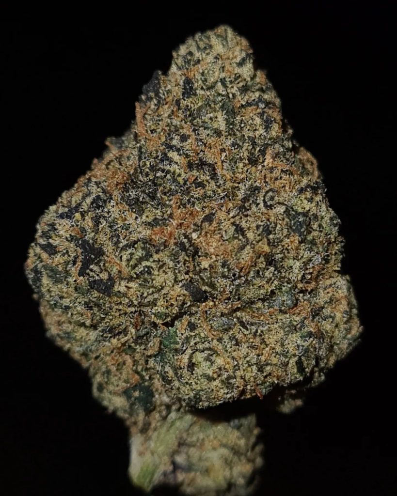 brain candy by zaba cannabis co strain review by cannoisseurselections