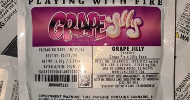 grape jilly by jungle boys strain review by cannoisseurselections 2.webp