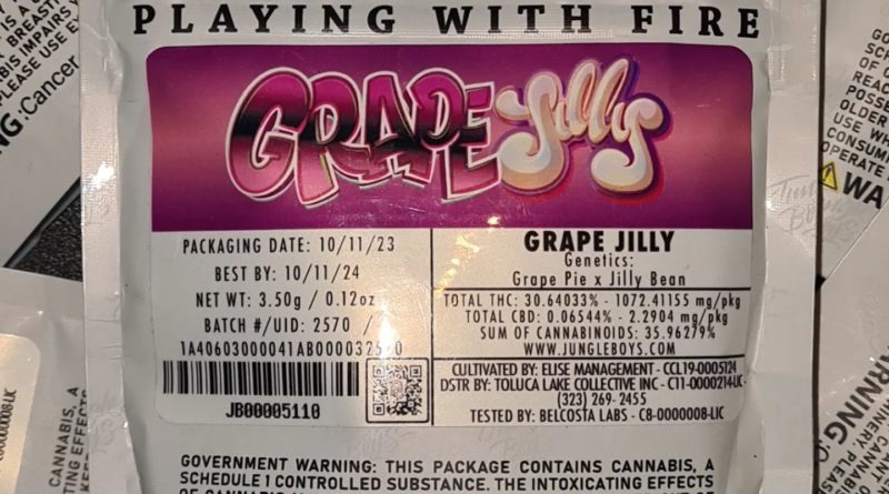 grape jilly by jungle boys strain review by cannoisseurselections 2.webp