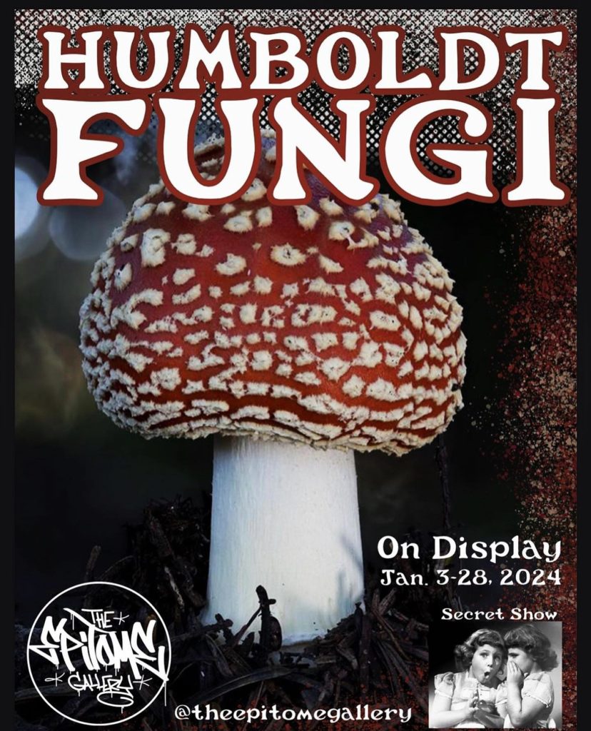 humboldt fungi secret show at the epitome gallery in eureka ca