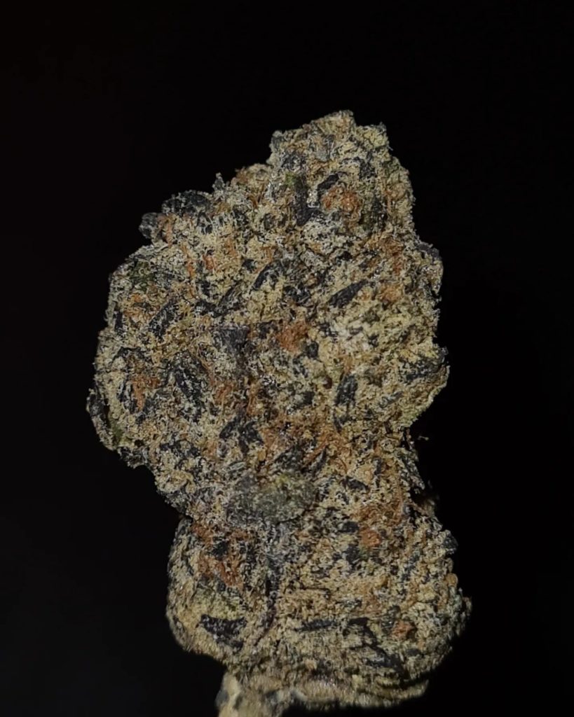 jalebi by the baydestrians strain review by cannoisseurselections