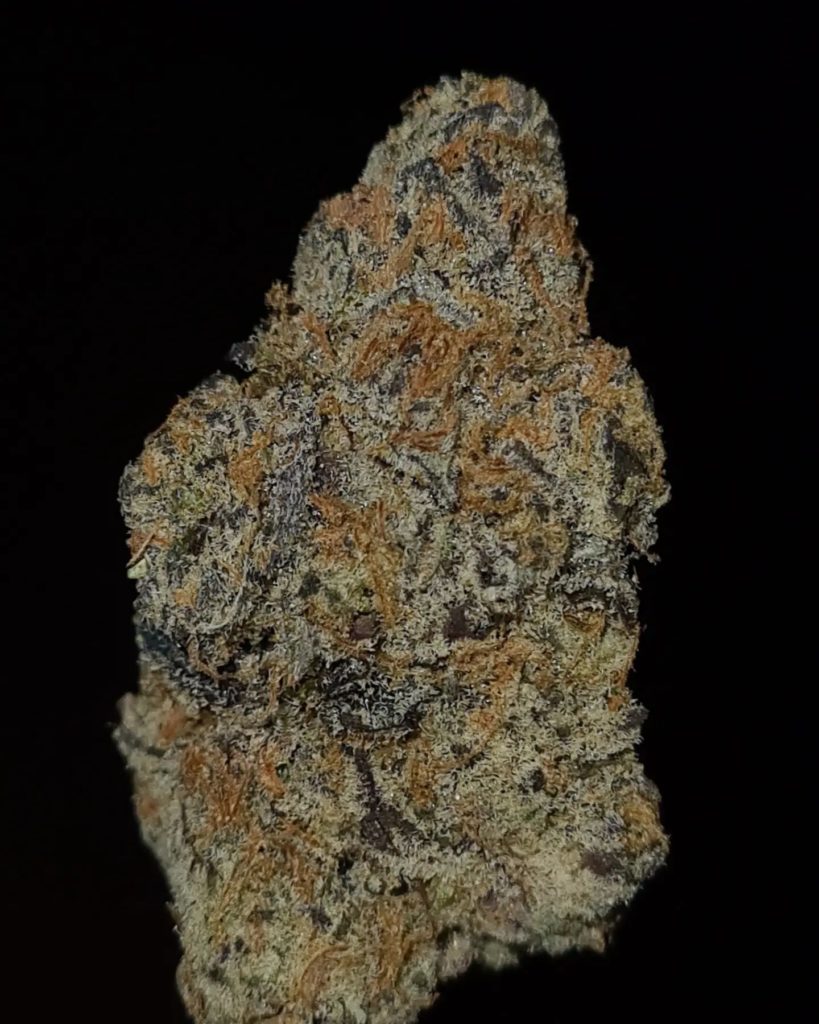 moonbow by kush4breakfast x johnny dankco strain review by cannoisseurselections