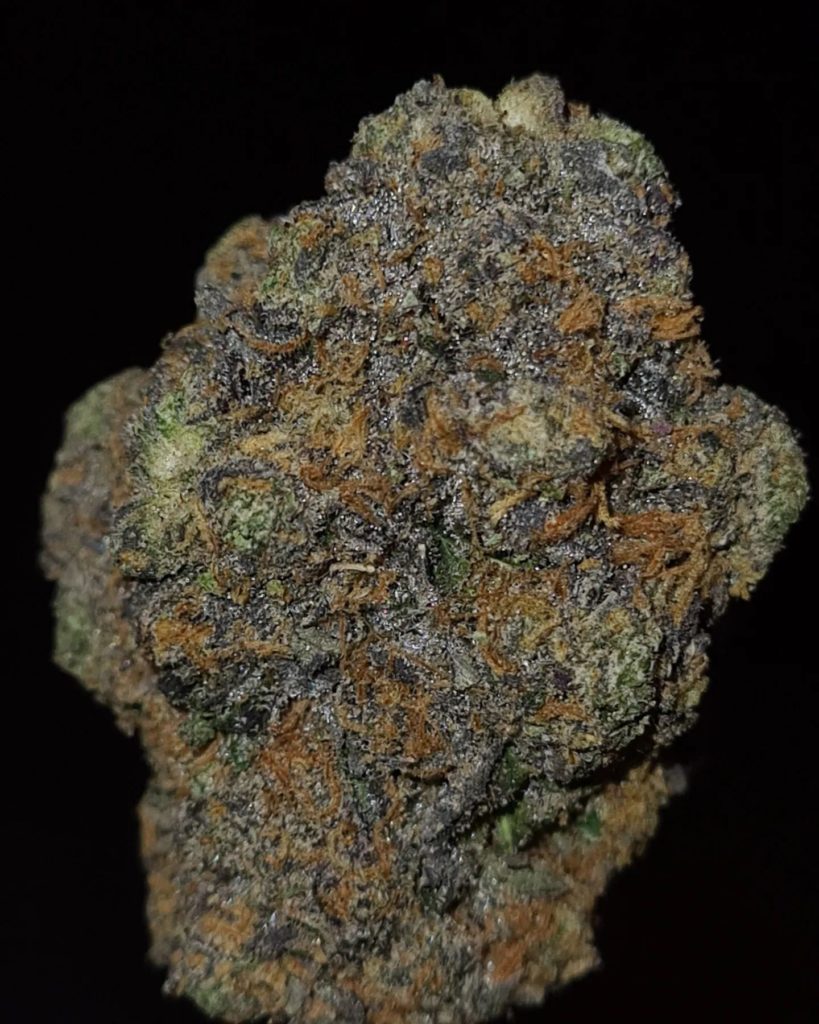 no snitching to 12 by world is yours exotics strain review by cannoisseurselections