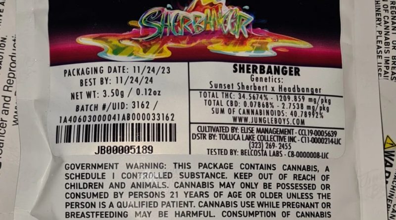 sherbanger by jungle boys strain review by cannoisseurselections 2.webp