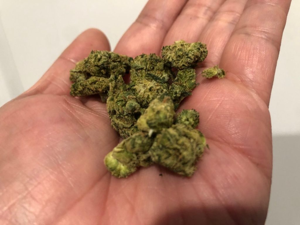 super lemon cherry by respect my region strain review by caleb chenjpeg 2signal-2024-01-12-161719_003