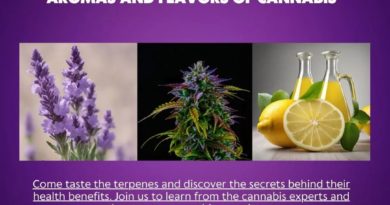 taste the terpenes event feb 11 sausalito ca