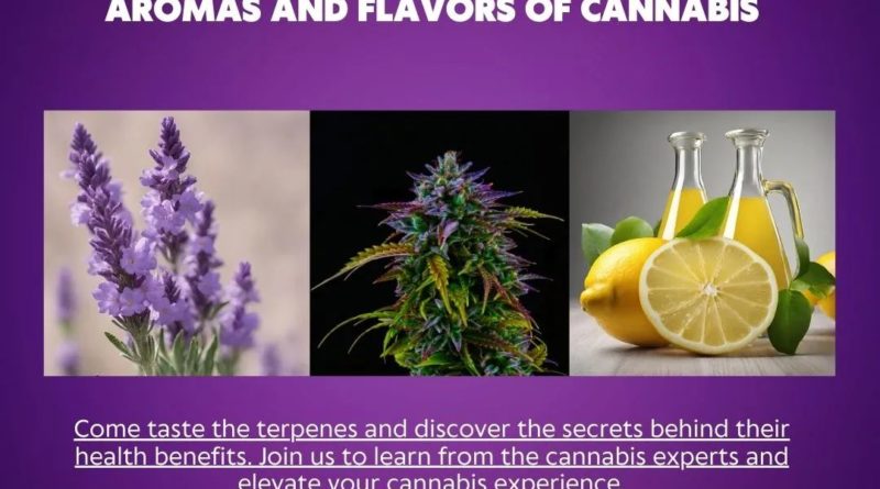 taste the terpenes event feb 11 sausalito ca