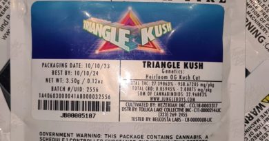 triangle kush by jungle boys strain review by cannoisseurselections 2.webp