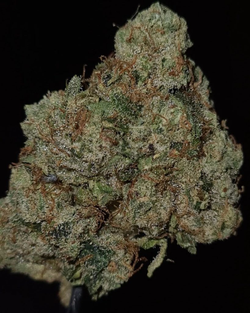 triangle kush by jungle boys strain review by cannoisseurselections