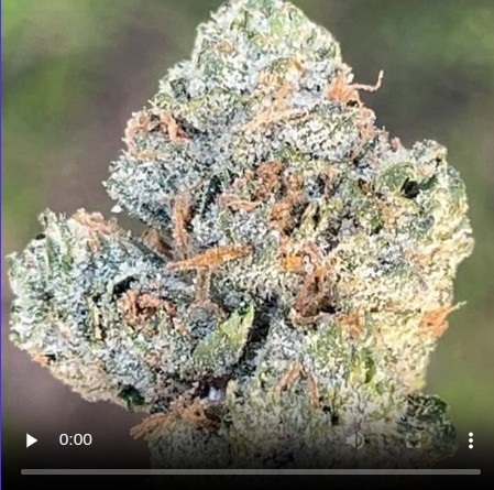 turron rosa by don merfos exotics strain review by thethcspotreviews