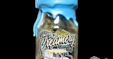 8 bit og by valley creamery cannabis co strain review by thethcspot 2.jpg