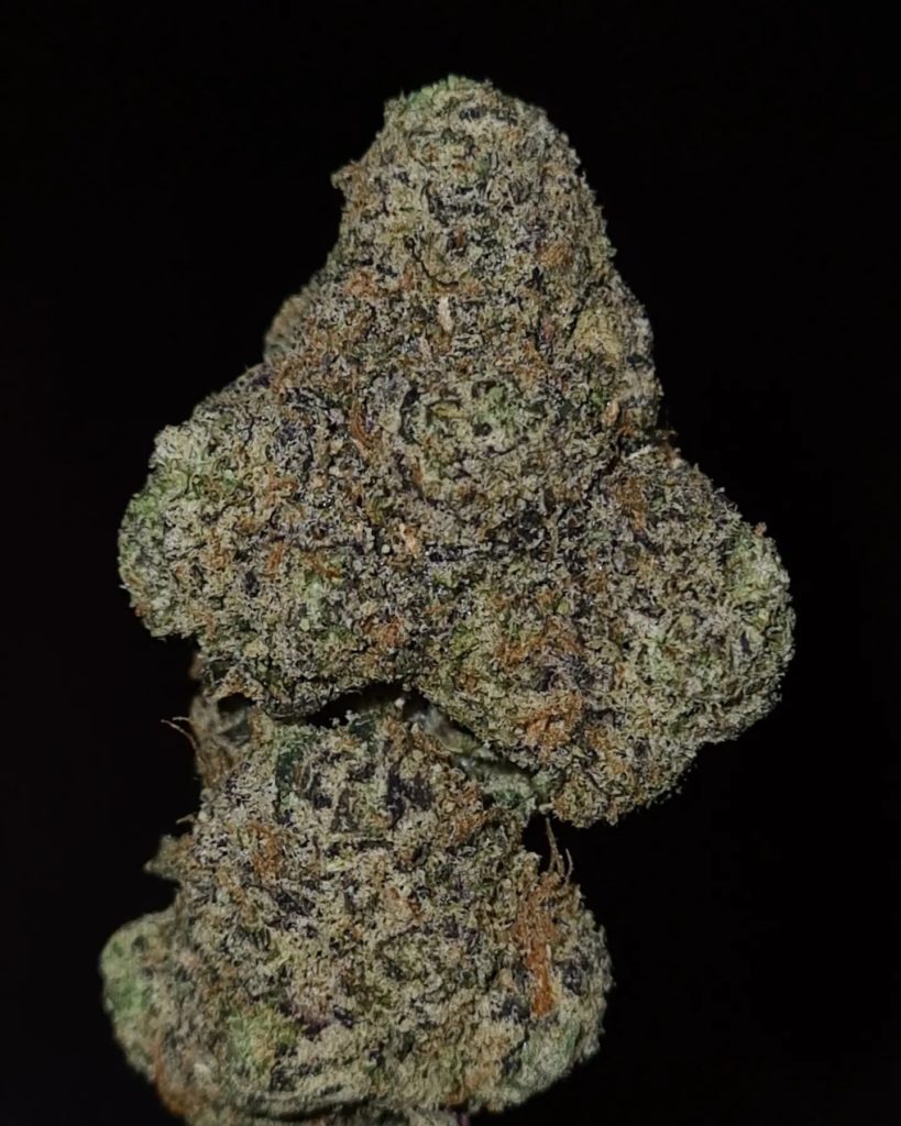 avon barksdale by the baydestrians x world is yours exotics strain review by cannoisseurselections 2.webp