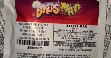 bakers man by jungle boys strain review by cannoisseurselections 2.webp