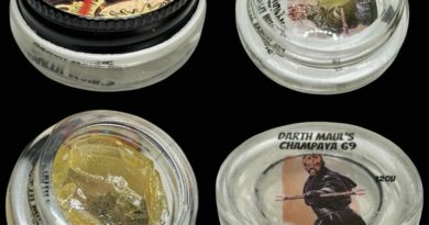 darth maul champaya69 v1 fresh press rosin by the real cannabis chris hash review by cali_bud_reviews 2.jpg