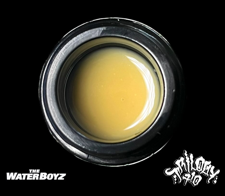 ginger snap live rosin by trilogy 710 x the waterboyz hash review by thethcspot