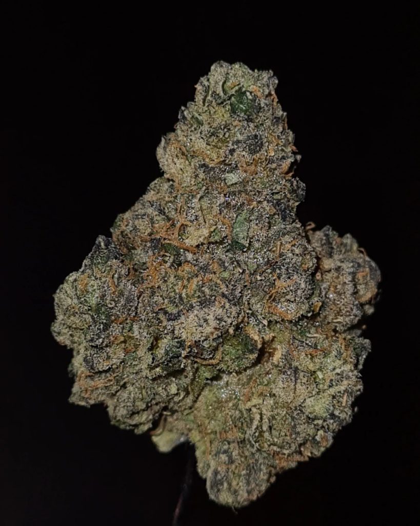 jelly donut by jungle boys strain review by cannoisseurselections