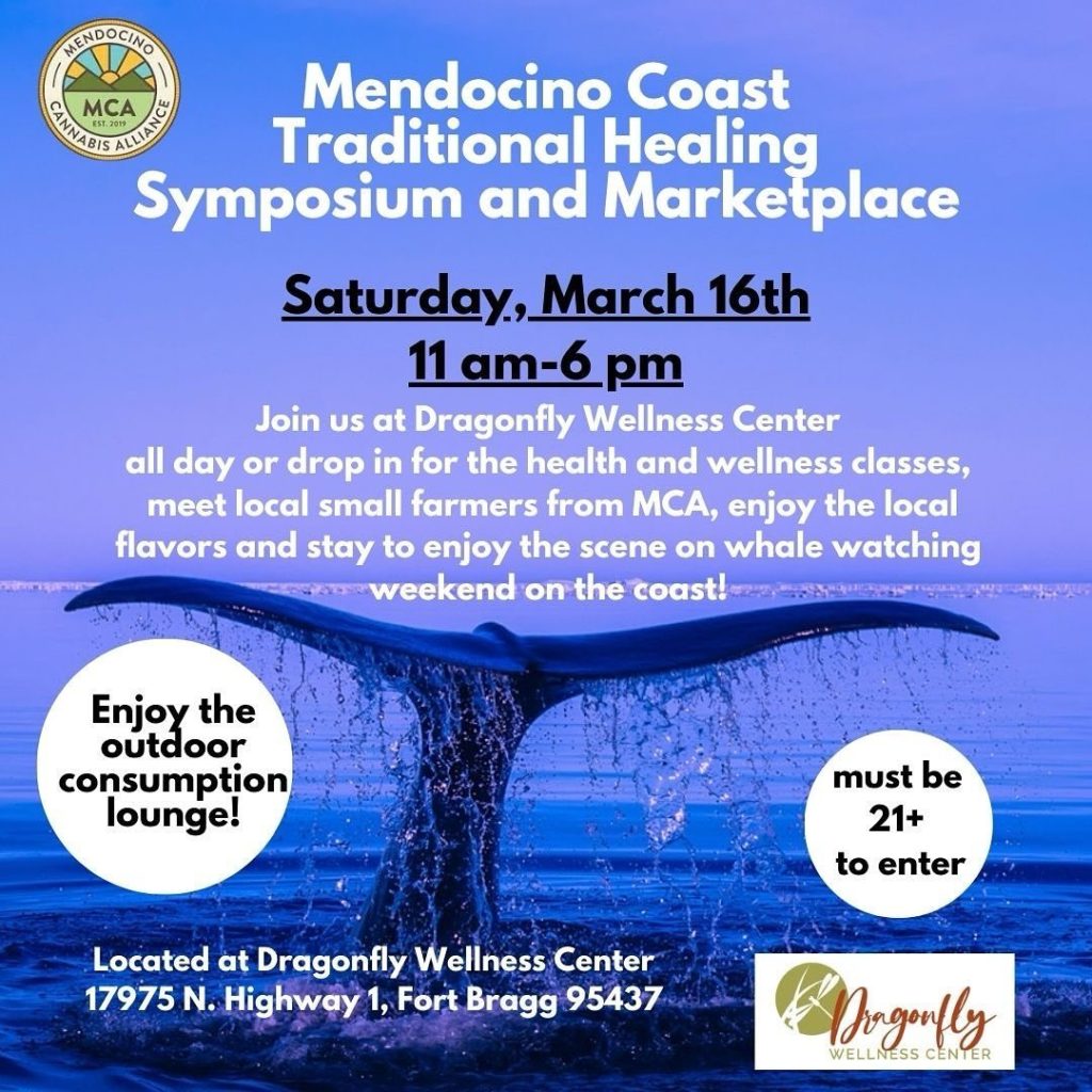 mendocino coast traditional healing symposium and marketplace