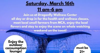 mendocino coast traditional healing symposium and marketplace