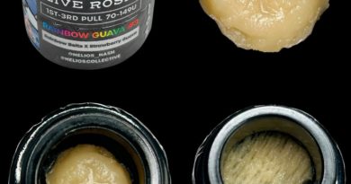 rainbow guava 3 rosin by helios hash hash review by cali_bud_reviews 2.jpg