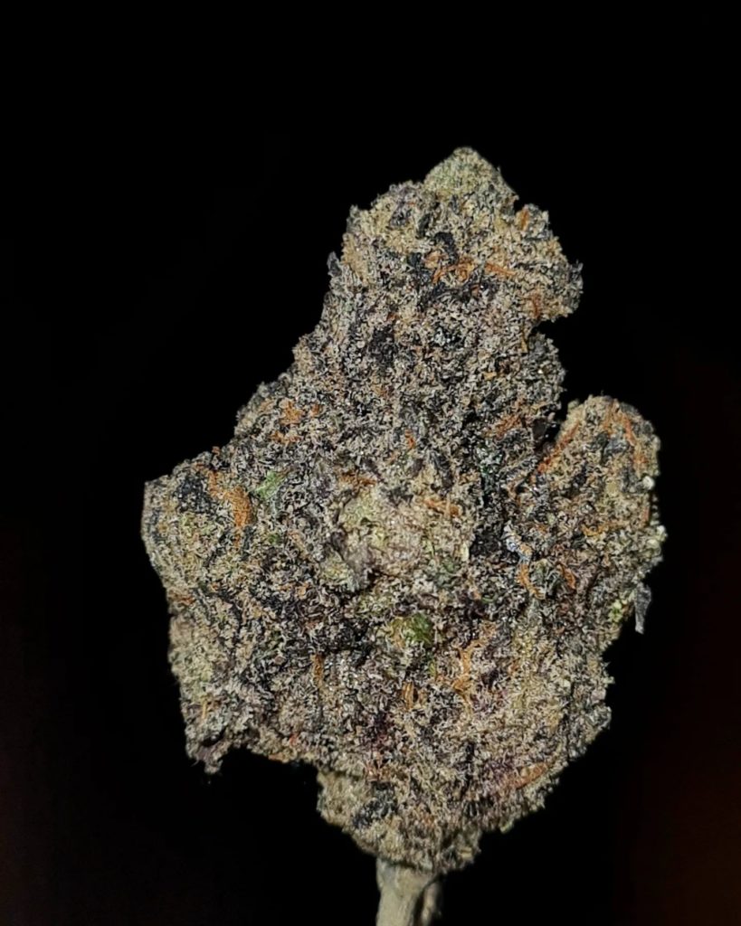 spoiled grape by zaba cannabis co oomphaz strain review by cannoisseurselections