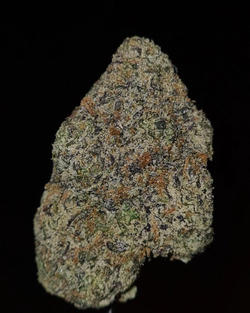 stringer bell by the baydestrians x world is yours exotics shottas series strain review by cannoisseurselections